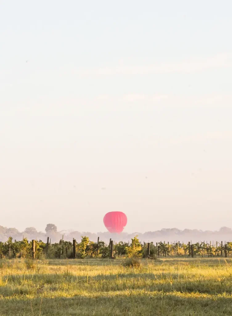 hunter valley - hotbaloon