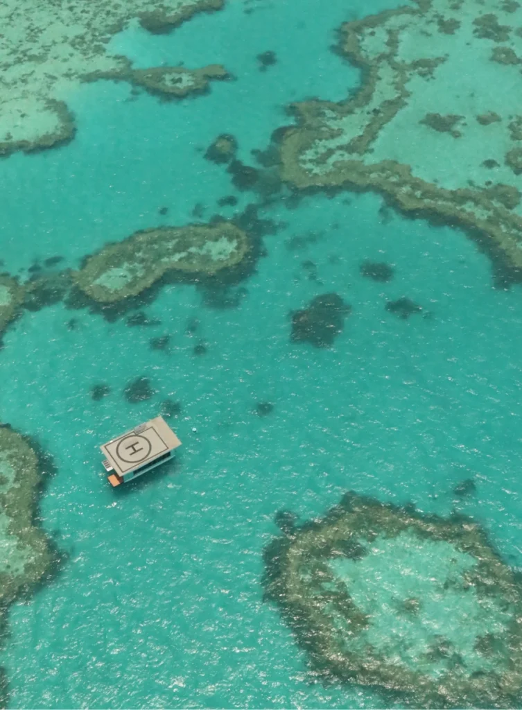Australie - Corail reef