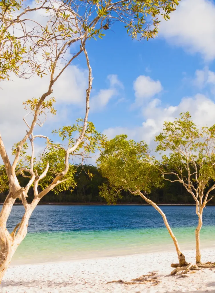 Fraser Island