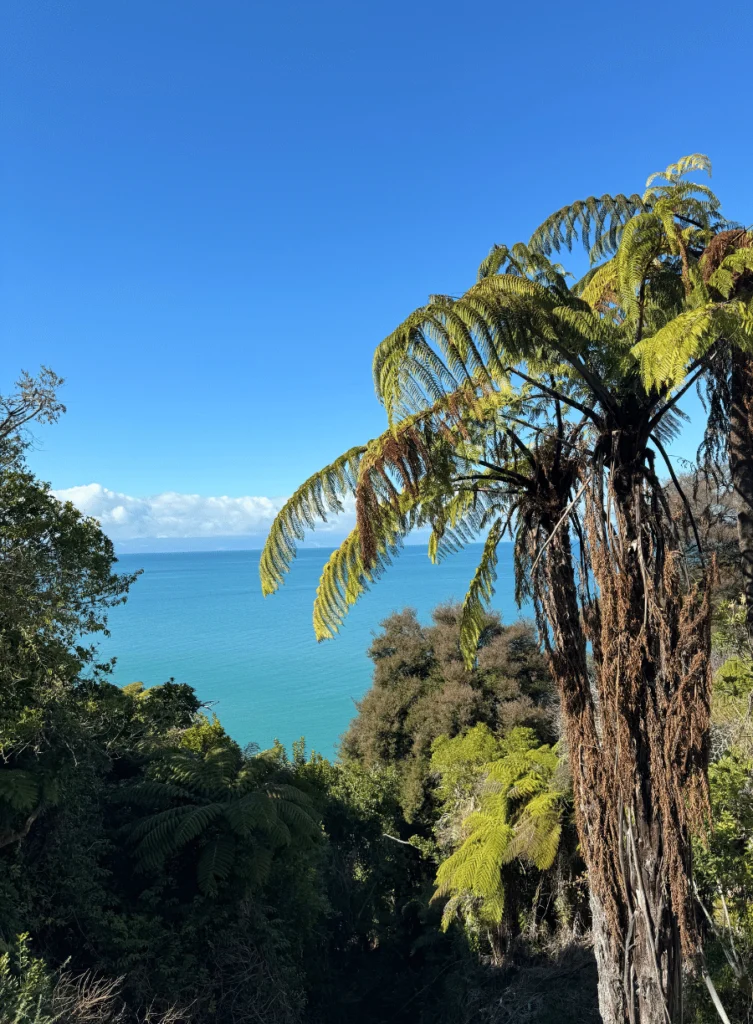 Abel Tasman / whatlusees.com