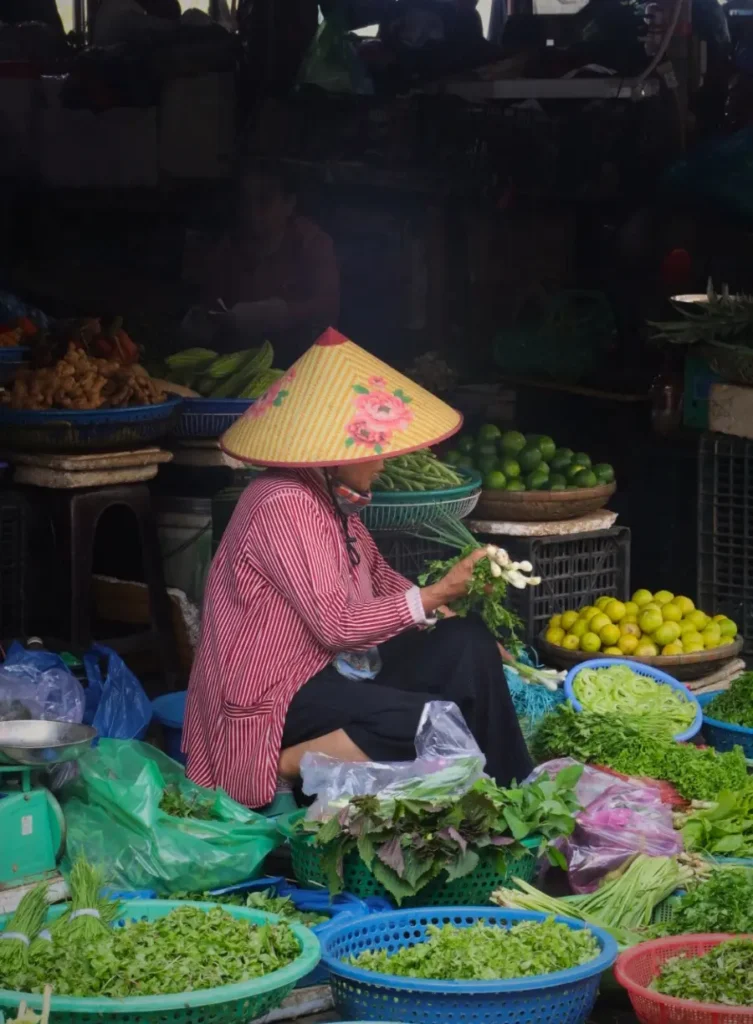 Vietnam - What lu sees