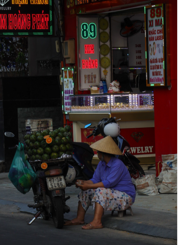 vietnam - what lu sees