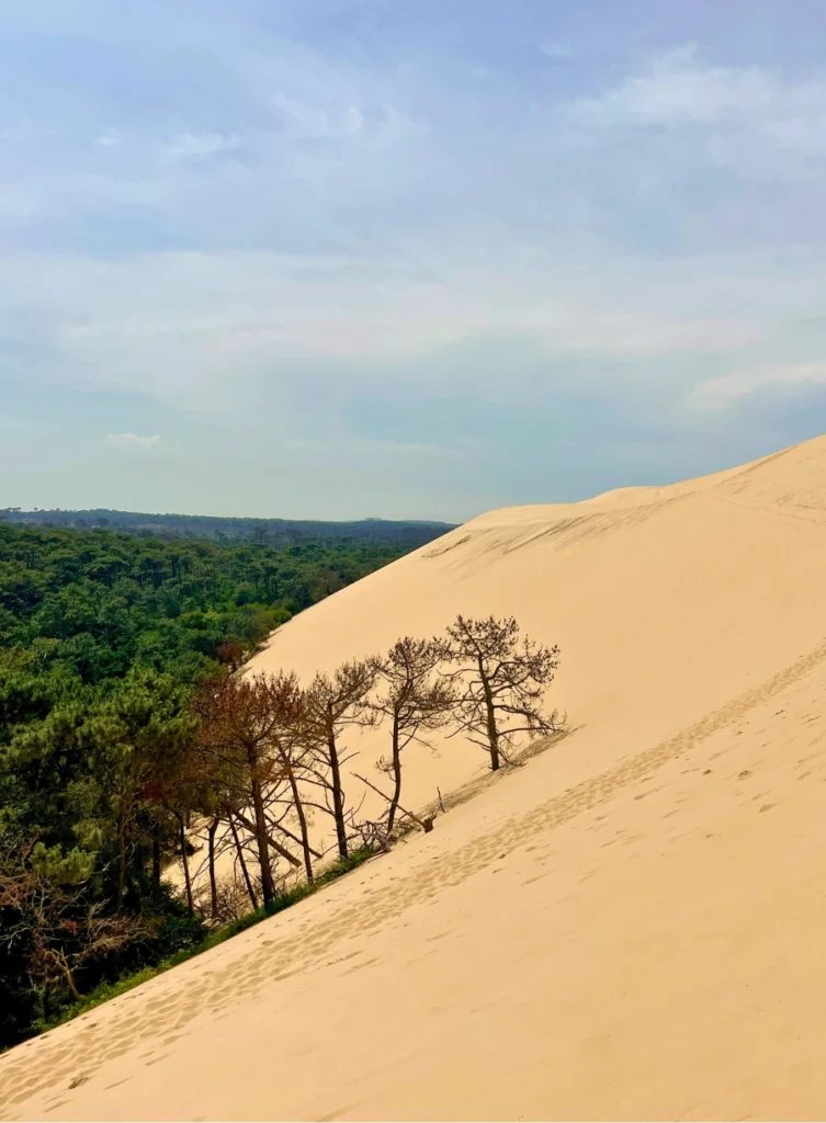 Dune du Pilat