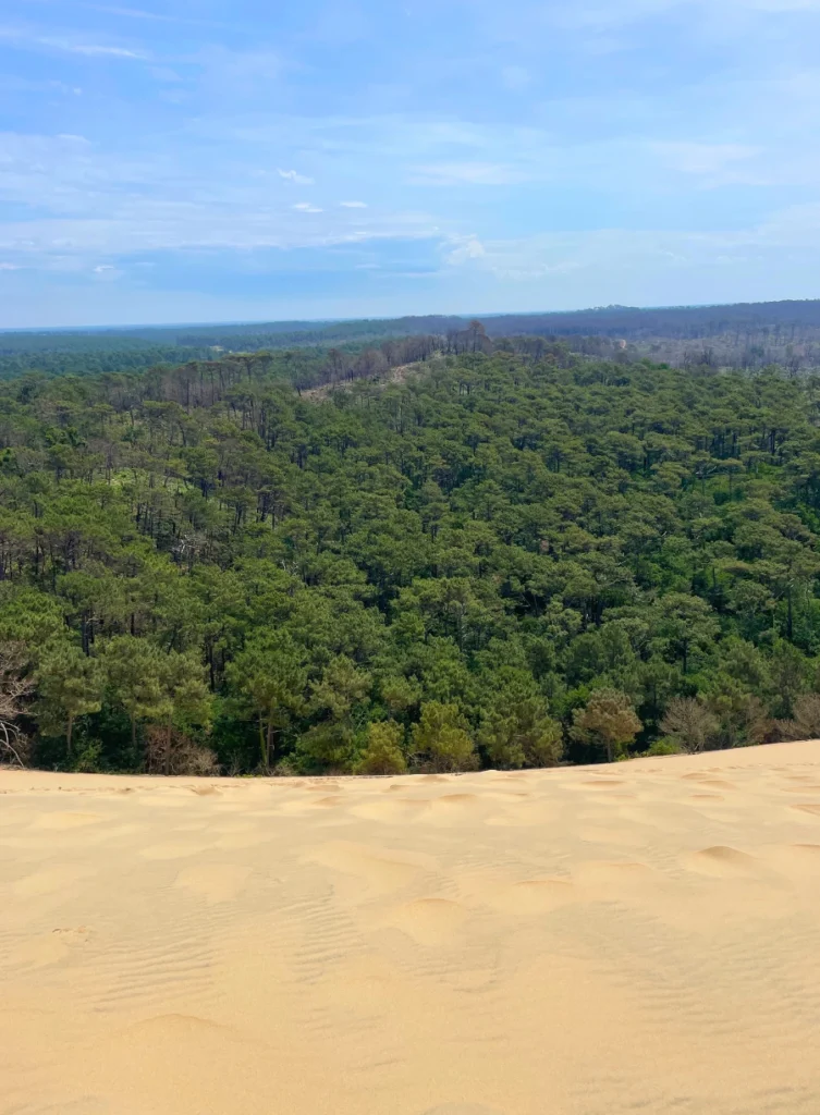 Dune du Pilat