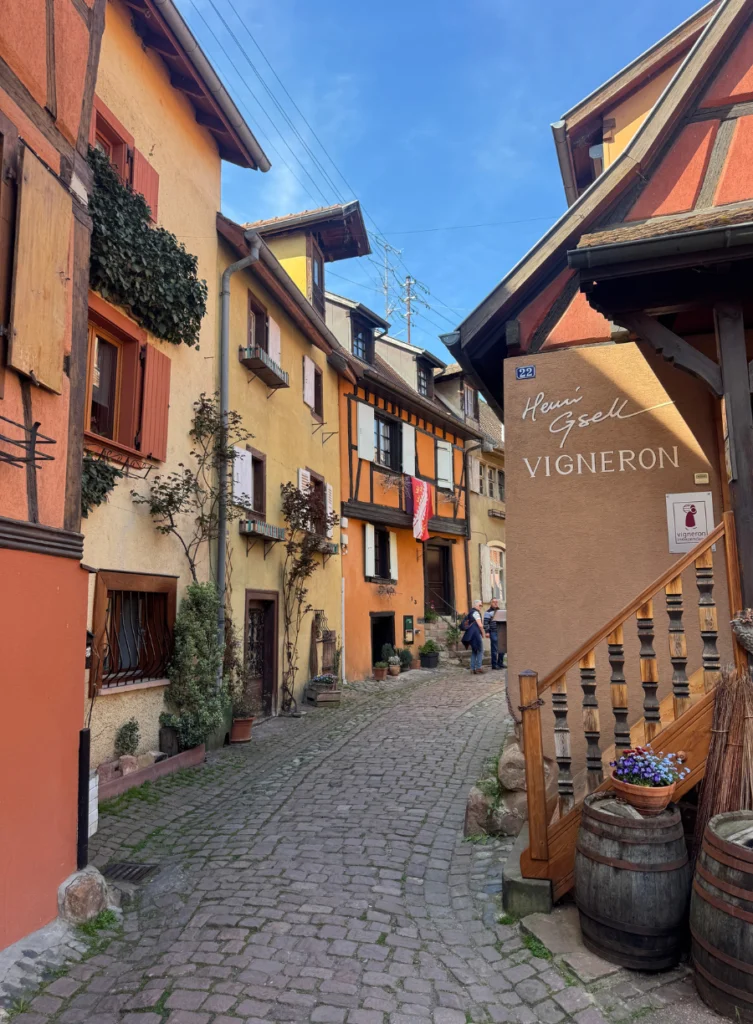 Vigneron Eguisheim