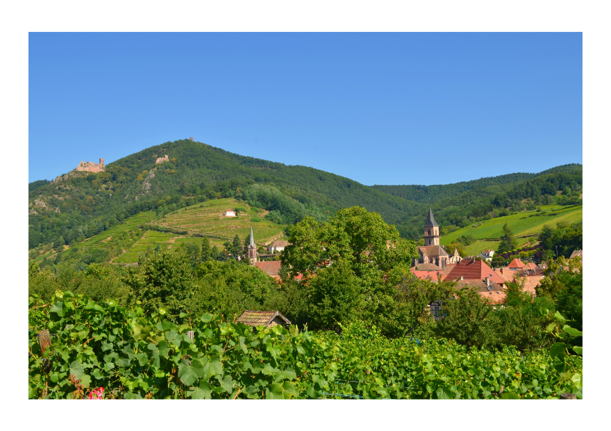 Visite des trois chateaux - Eguisheim