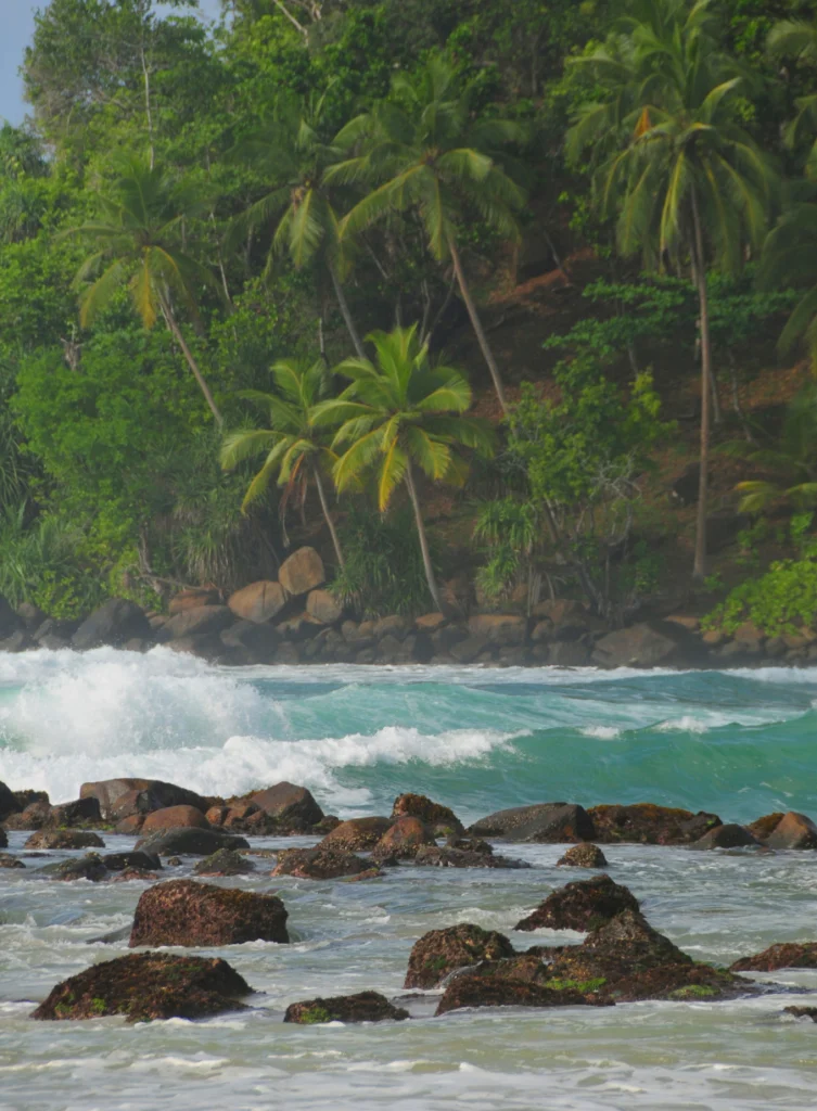 Mirissa Beach - Sri Lanka