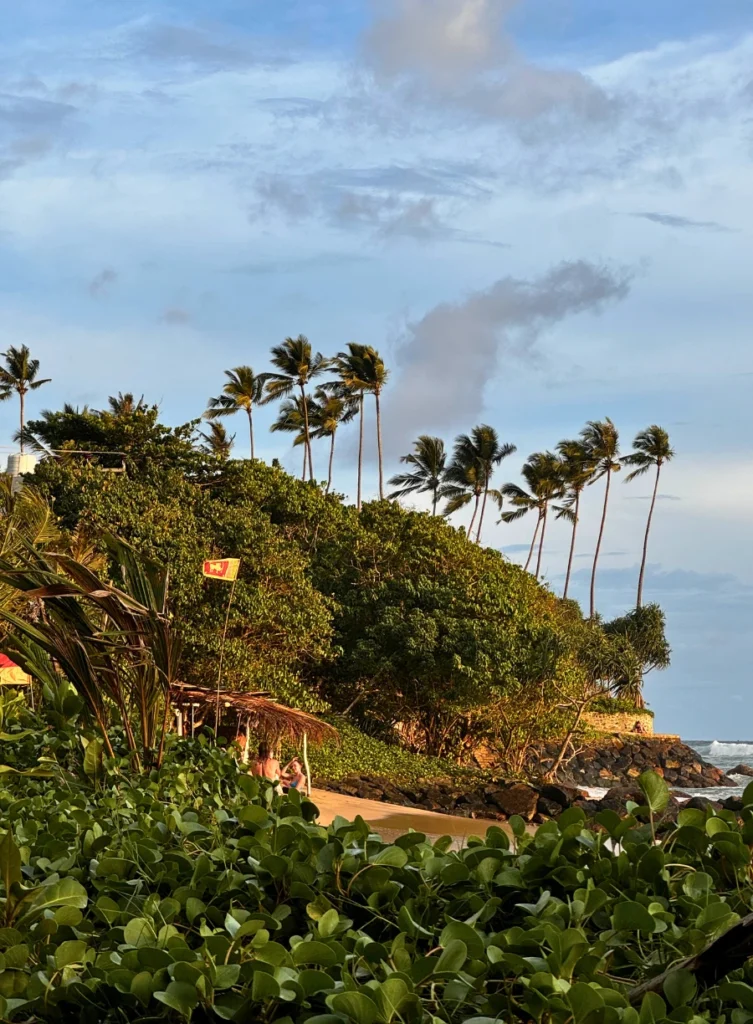 Turtle Point - Mirissa