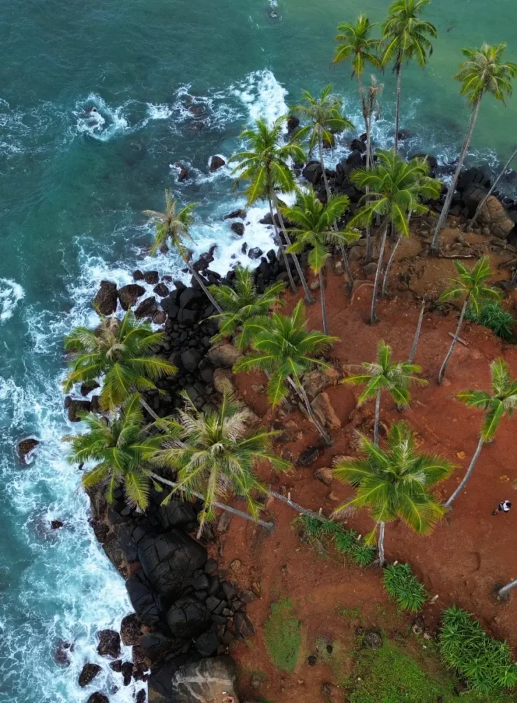 Coconut Tree Hills - Mirissa