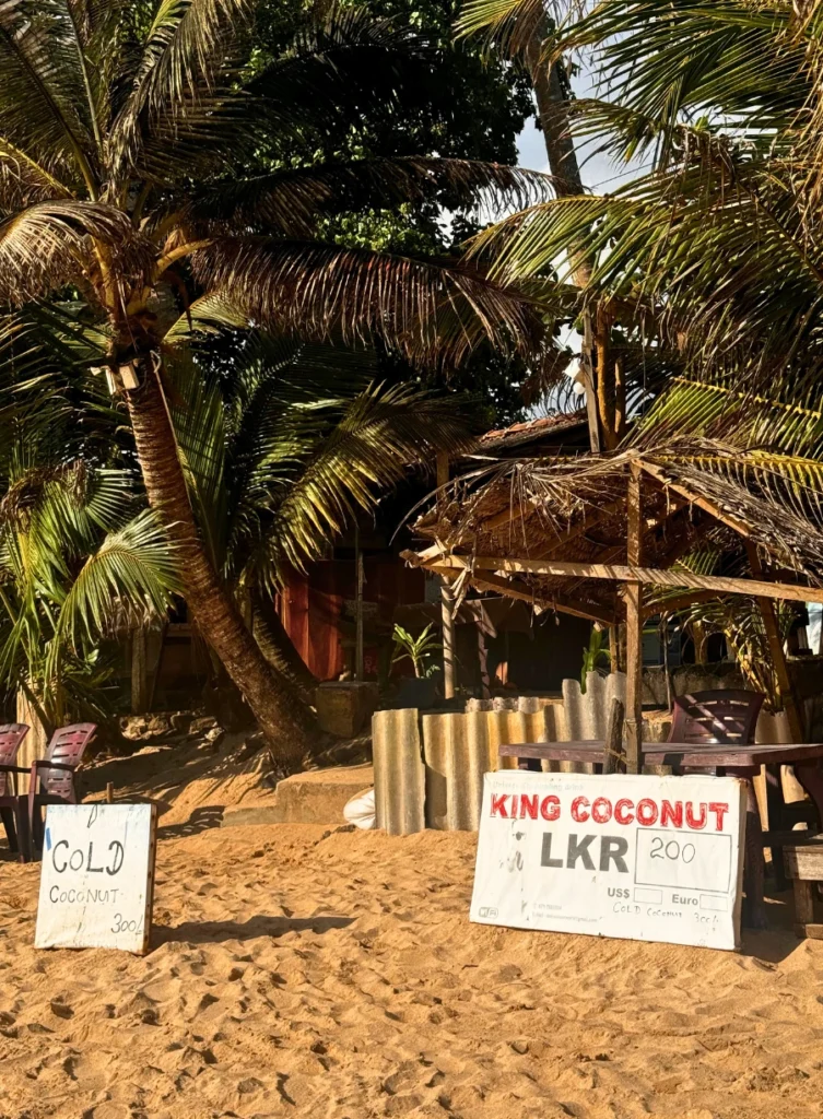 Mirissa Beach - coconut