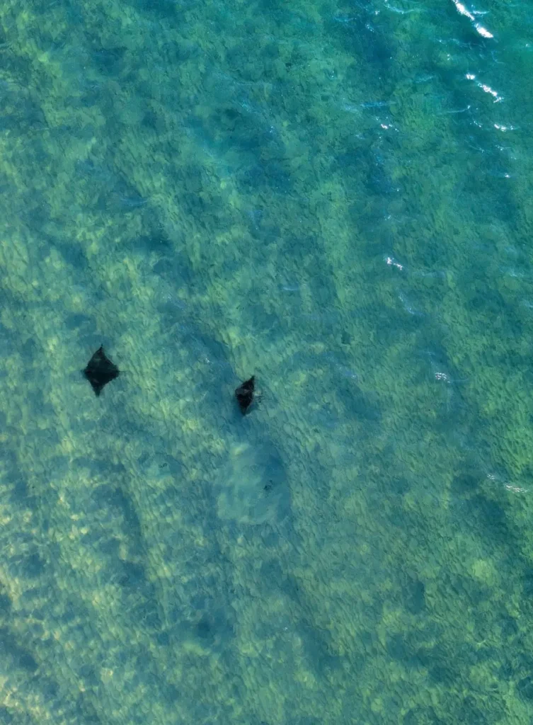 Bendalong - Jervis Bay