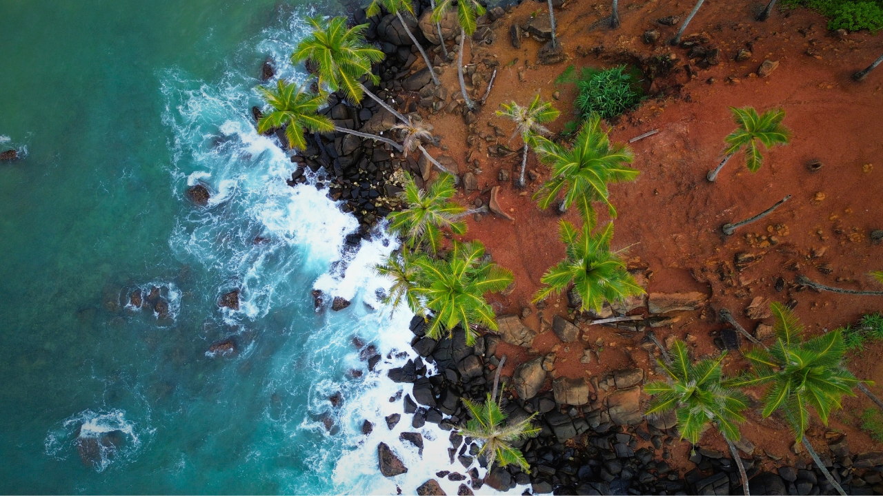 mirissa-beach Coconut Tree Hills - Mirissa Beach