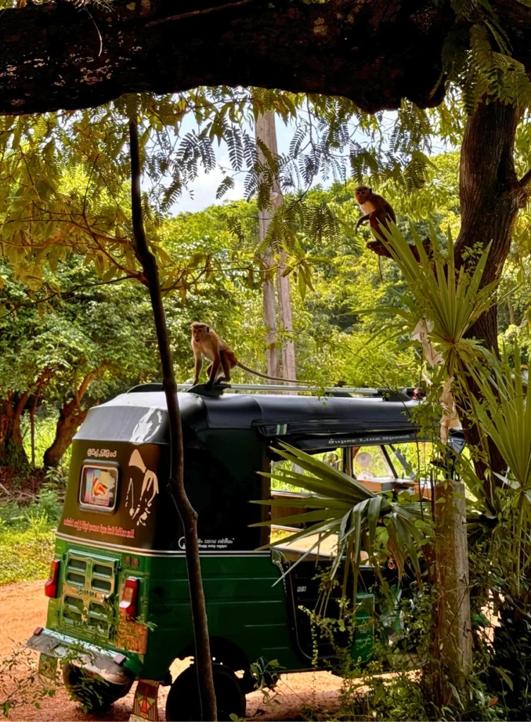 Reserver un tuktuk