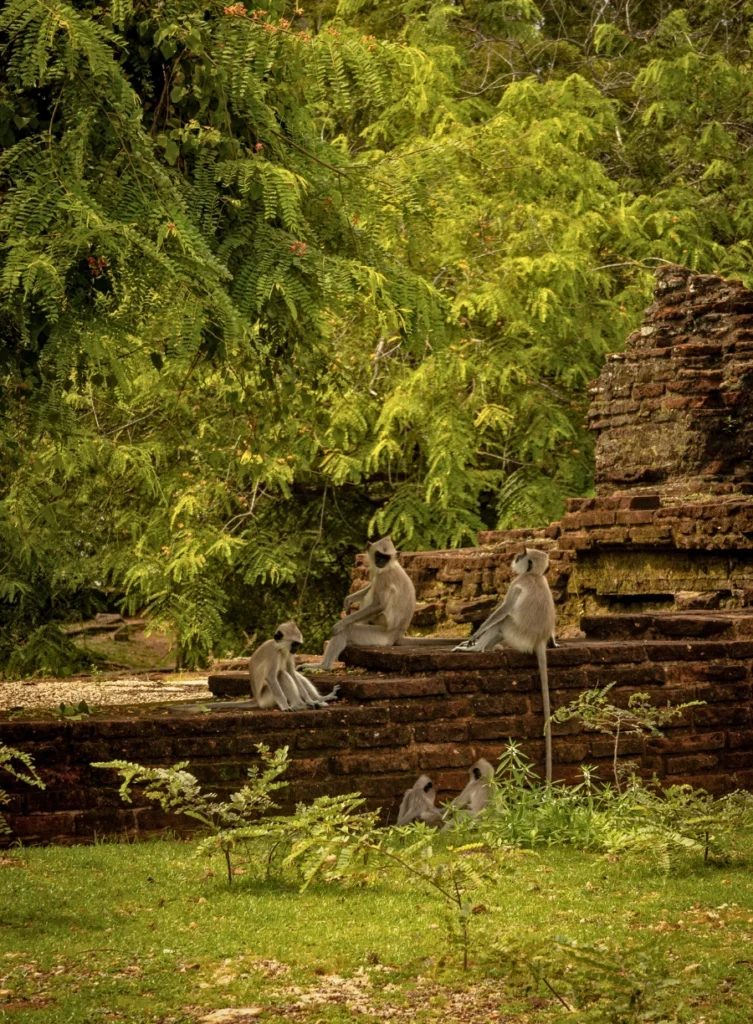 Polonnaruwa