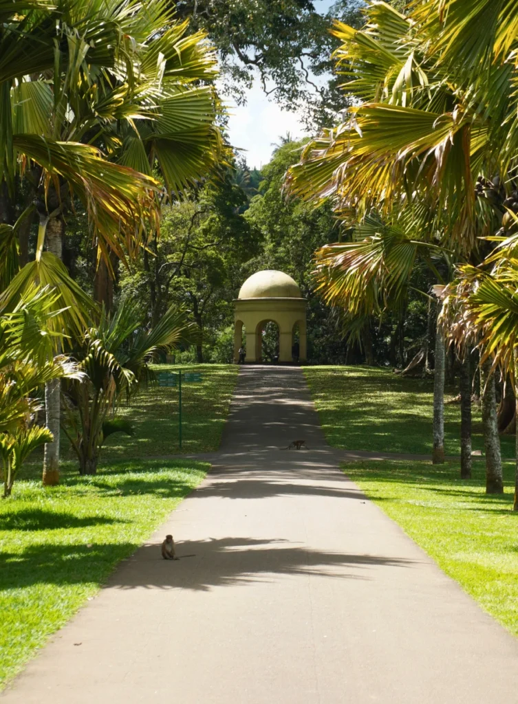 Jardin botanique de Kandy