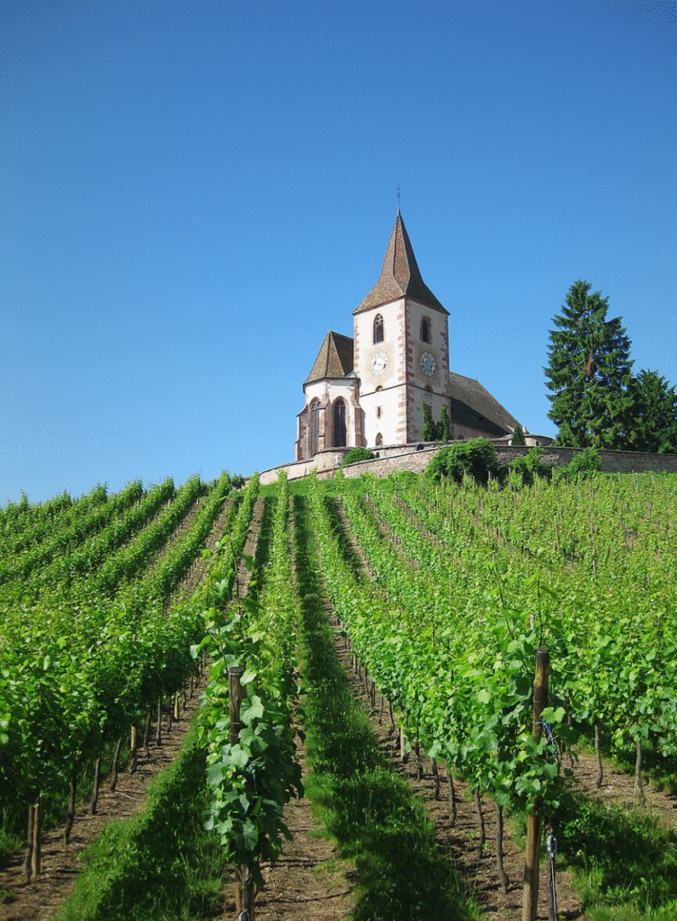 Hunawihr, Autour de colmar