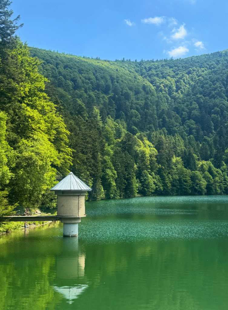 Petit Ballon, Colmar