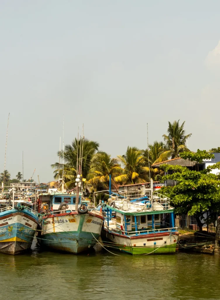 Itinéraire Sri Lanka 3 semaines - Negombo