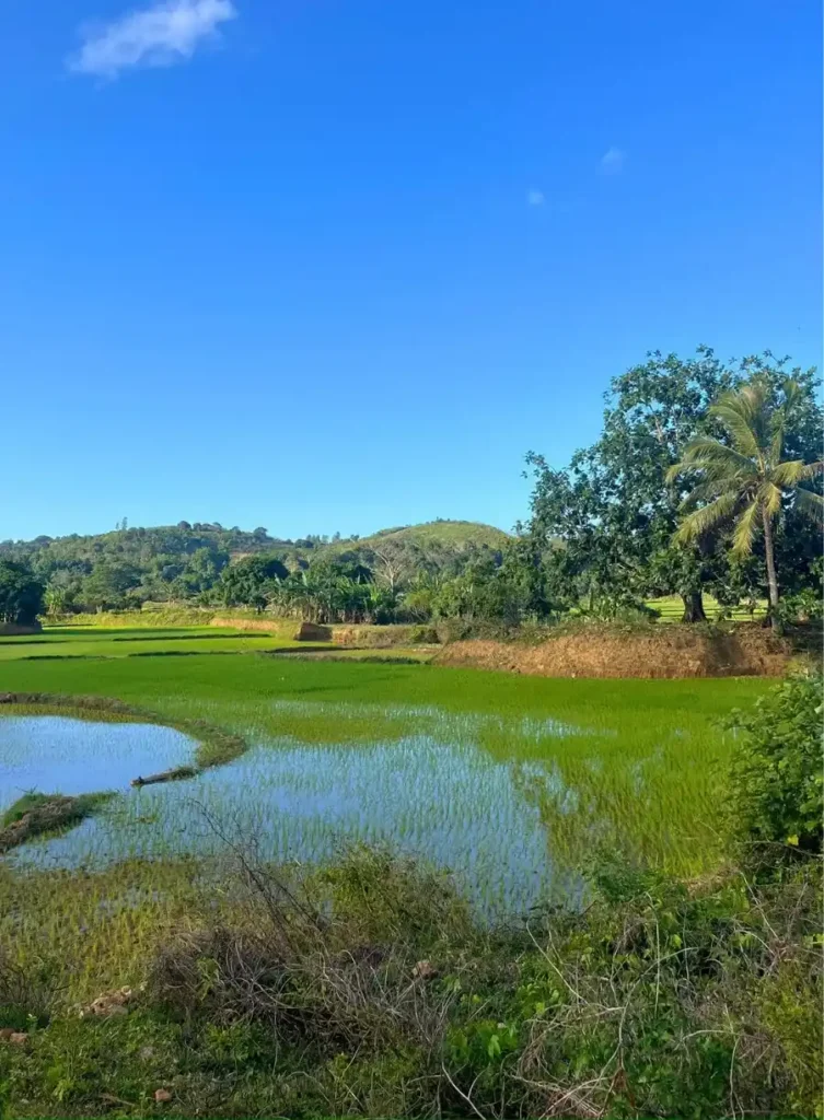 Paysages Madagascar, Visiter Madagascar
