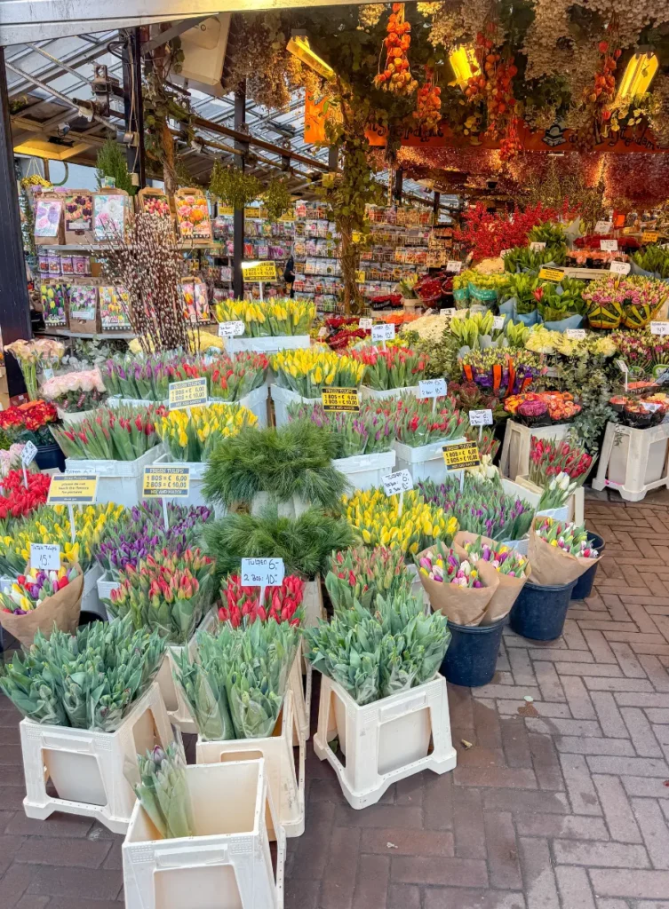 Bloemenmarkt, Marché des fleurs à Amsterdam, Tulipes
